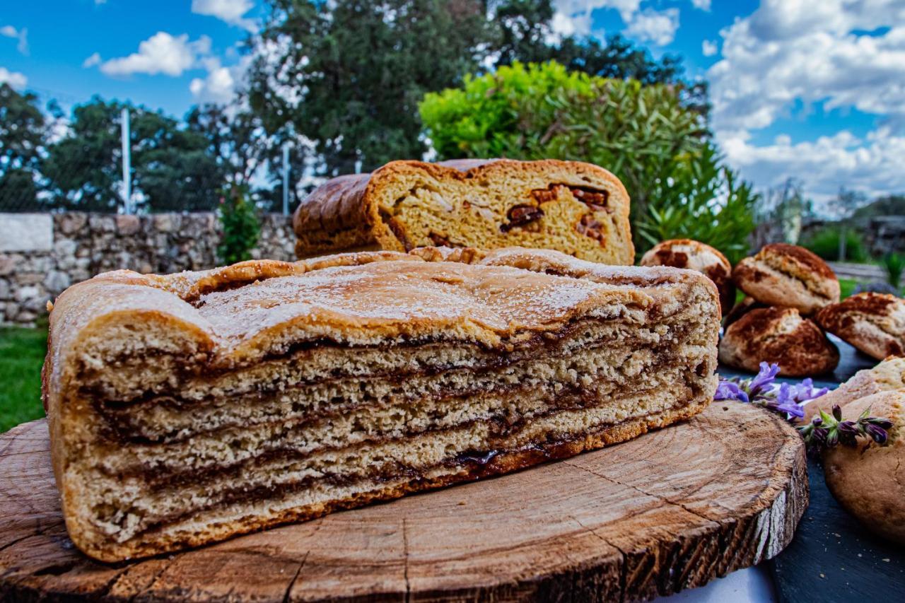 Casas Campo Cimo Da Quinta Hotel Миранда до Дуро Екстериор снимка